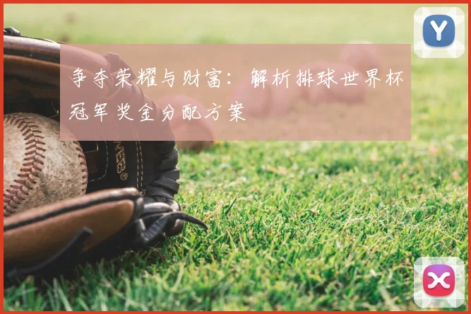 争夺荣耀与财富：解析排球世界杯冠军奖金分配方案