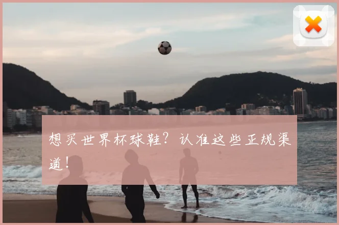 想买世界杯球鞋?认准这些正规渠道!