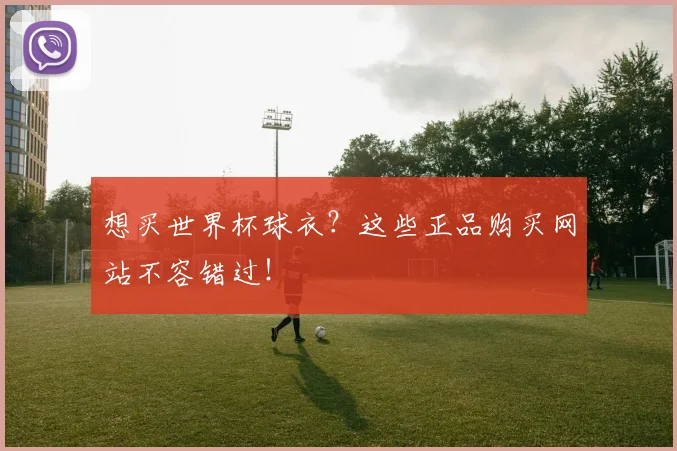 想买世界杯球衣?这些正品购买网站不容错过!