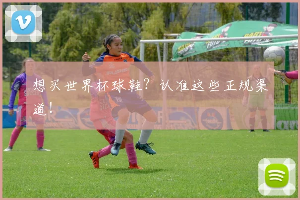 想买世界杯球鞋?认准这些正规渠道!