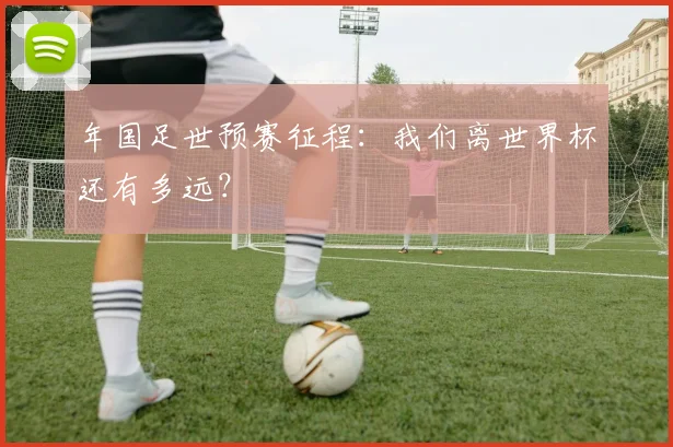 年国足世预赛征程:我们离世界杯还有多远?