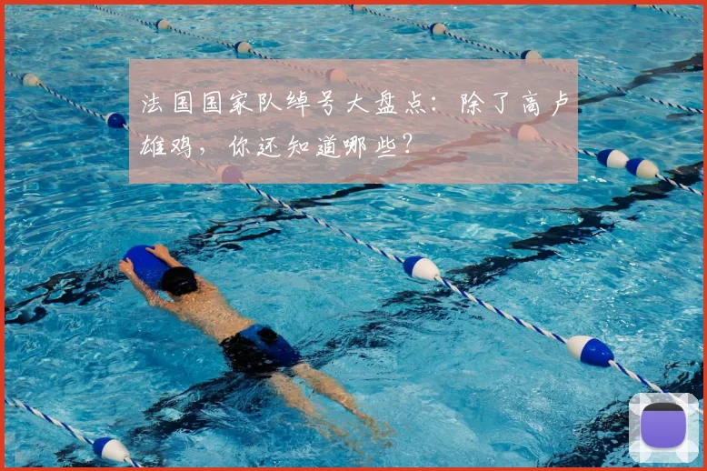 法国国家队绰号大盘点:除了高卢雄鸡,你还知道哪些?