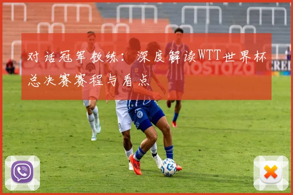 对话冠军教练：深度解读WTT世界杯总决赛赛程与看点